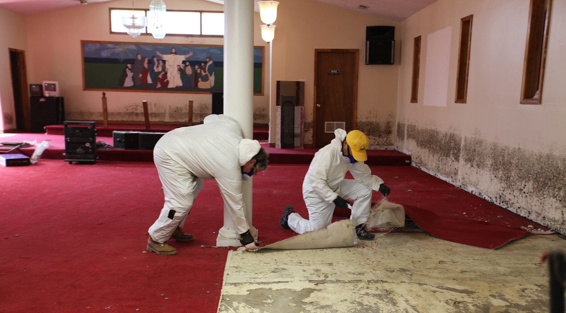 Carpenters-Relief-new-web